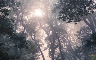 It is the simple things that are effectual